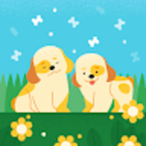 Meet your Posher, Autumn